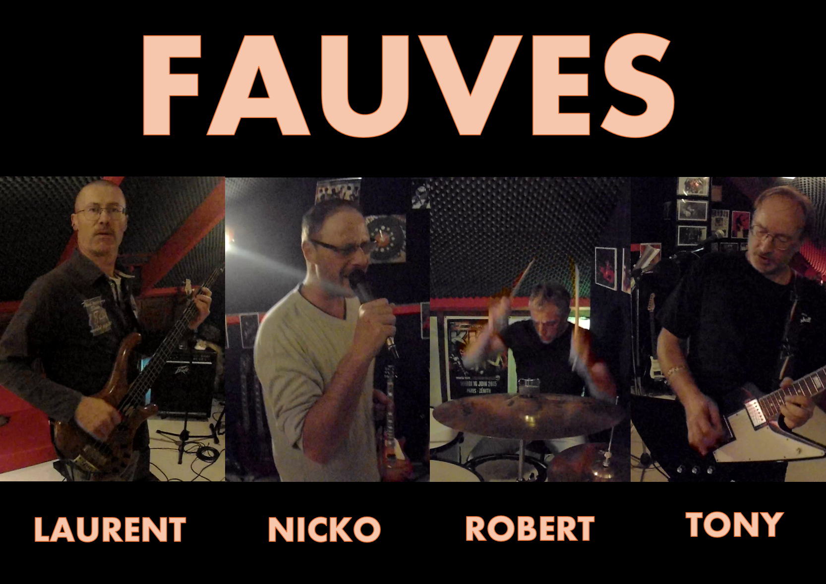 FAUVES